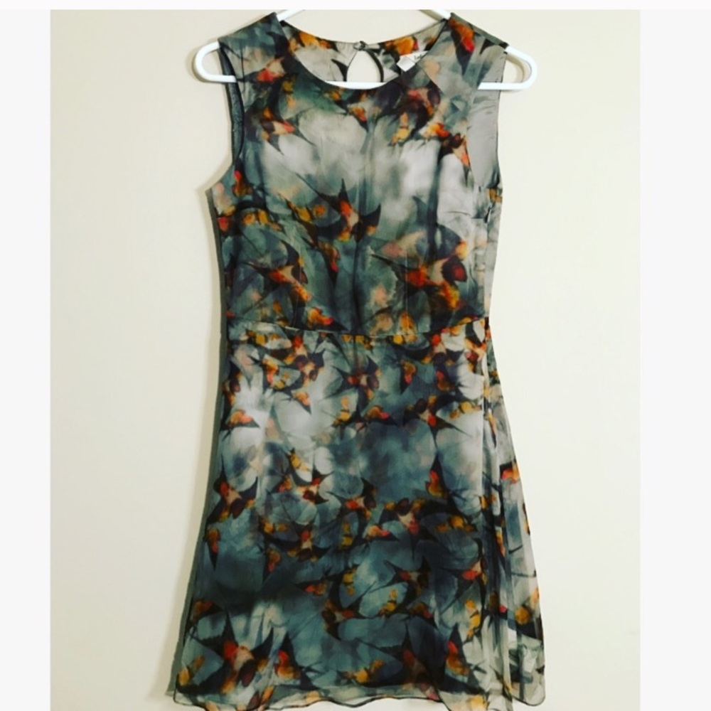 Erdem Watercolor dress